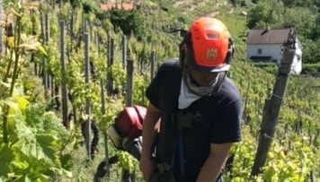 Der perfekte Sommerwein