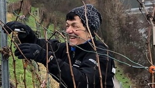 Großes Interesse am Wein und seiner Kultur