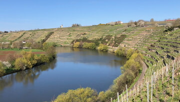 Mit der WeinKultur durchs Weinjahr