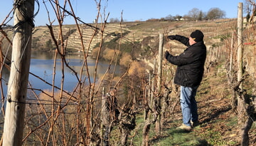 Mit der WeinKultur durchs Weinjahr 2026